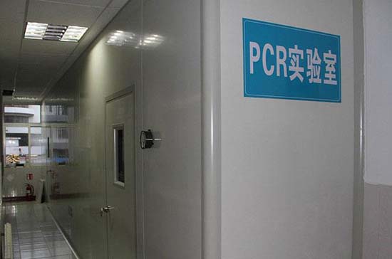 PCR實驗室的裝修設計知識1.jpg